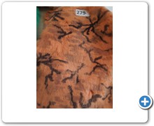 collection 10 Stampe fantasia 279